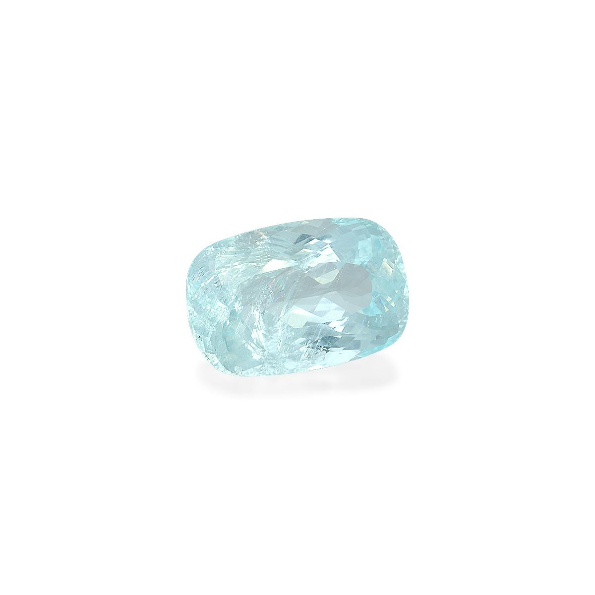 Paraiba Tourmaline 31.90 ct